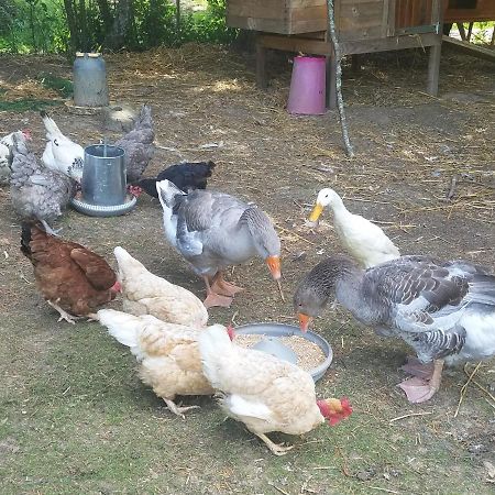 Gite Matilon, 5 Min Eugenie Les Bains Buanes Εξωτερικό φωτογραφία