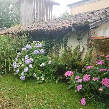 Gite Matilon, 5 Min Eugenie Les Bains Buanes Εξωτερικό φωτογραφία