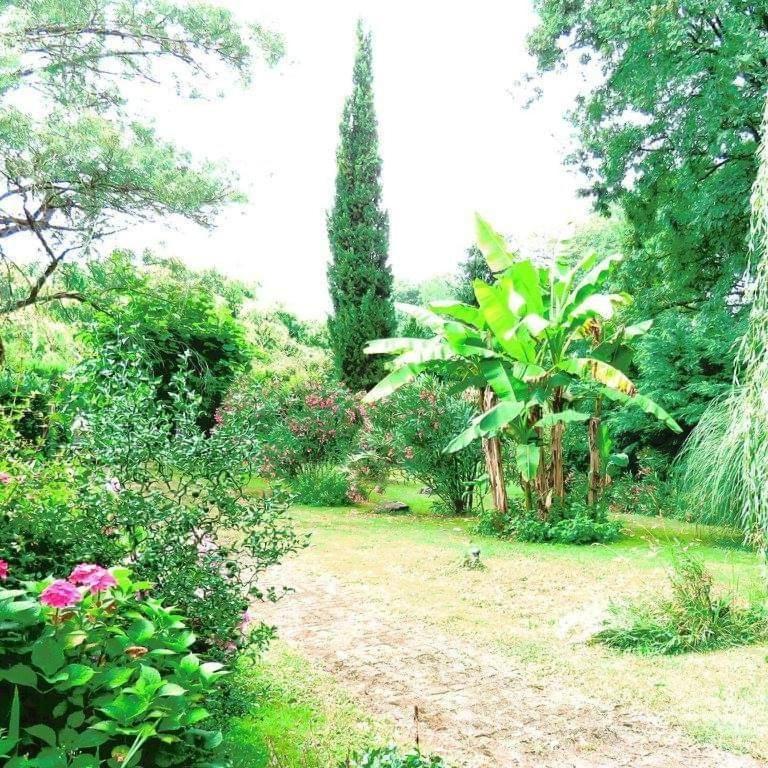 Gite Matilon, 5 Min Eugenie Les Bains Buanes Εξωτερικό φωτογραφία