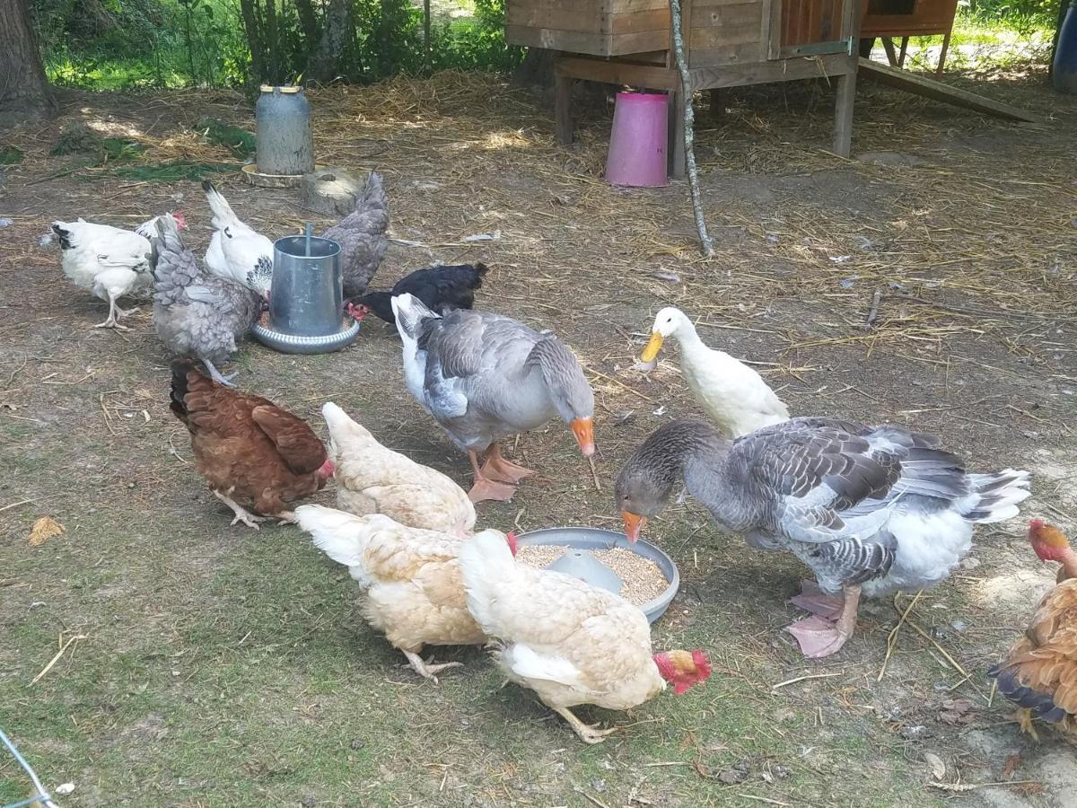 Gite Matilon, 5 Min Eugenie Les Bains Buanes Εξωτερικό φωτογραφία